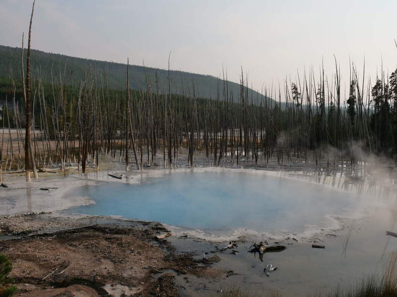 Cistern spring