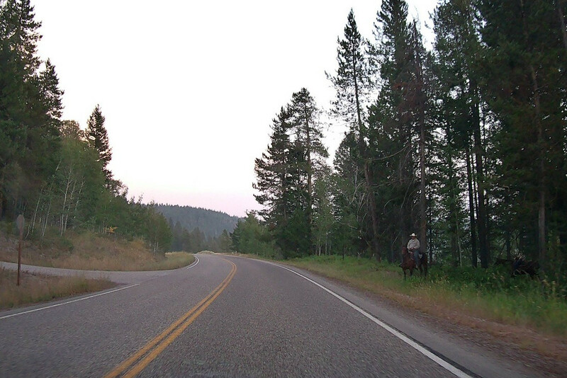 Cowboy on the highway