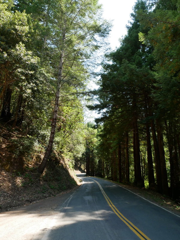 Mountain road close to CA 128
