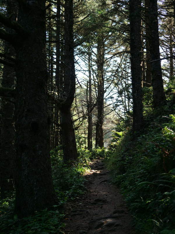 Trail on Cape Sebastian Point