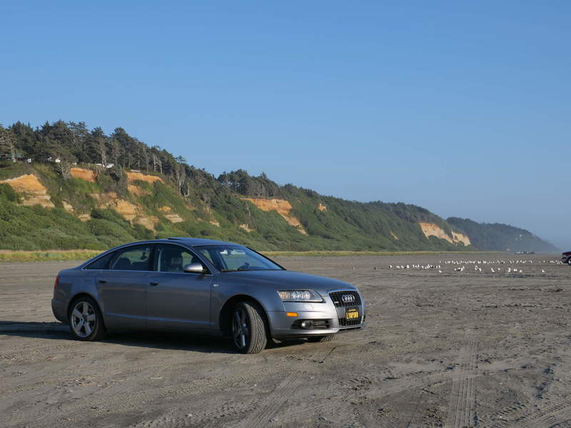 Driving on the beach. Technically, parking.