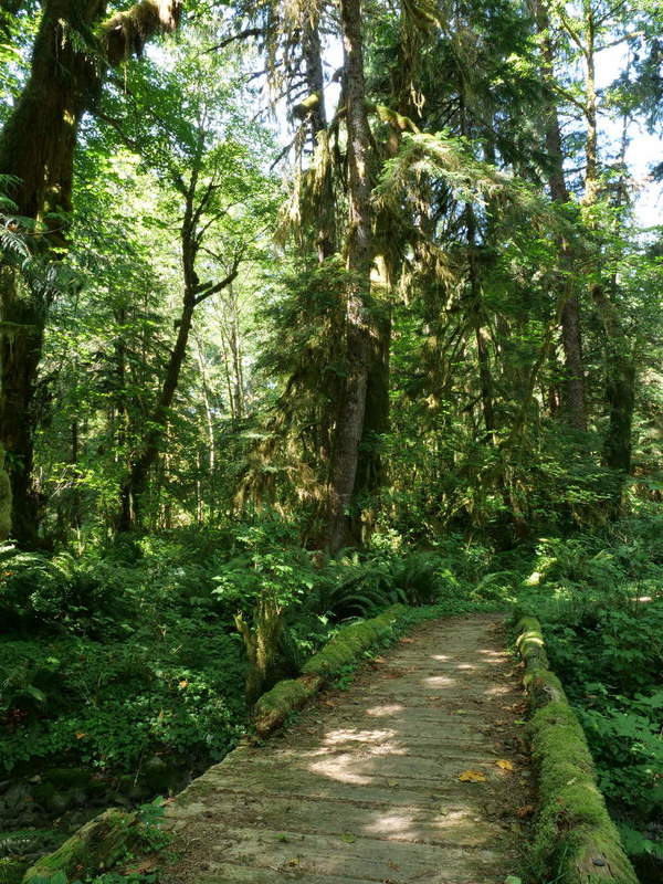 Maple Glade Nature Trail