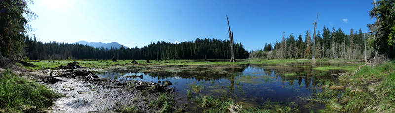 Panorama of Irely Lake