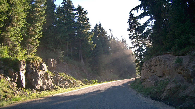 Dirt road leading to Mowich Lake