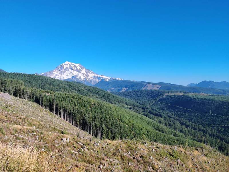 Mt. Rainier from the dirt road leading to Mowich Lake